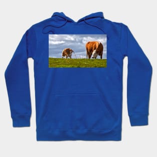 Sometimes all you need is a good scratch - Panorama Hoodie